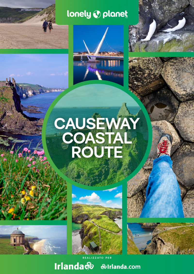 Viaggio in Irlanda. La Causeway Coastal Route  
